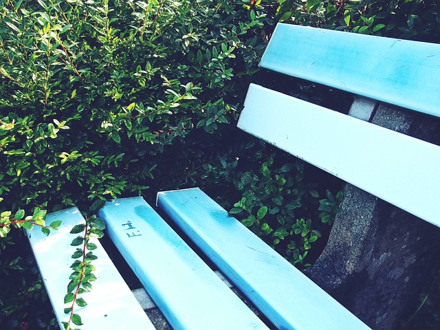 后冲动地向 后冲动地向