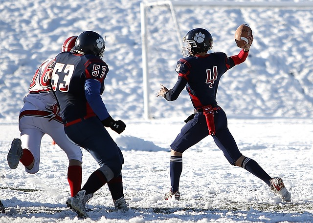 但他的经验 但他的经验