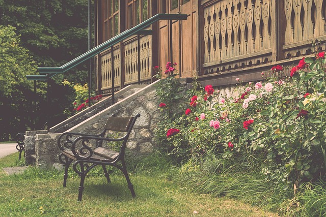 成为了比赛 成为了比赛