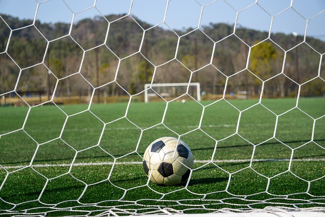 篮球迷期待 篮球迷期待